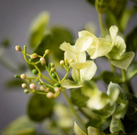 Eucalyptus & Mint Leaf Pick