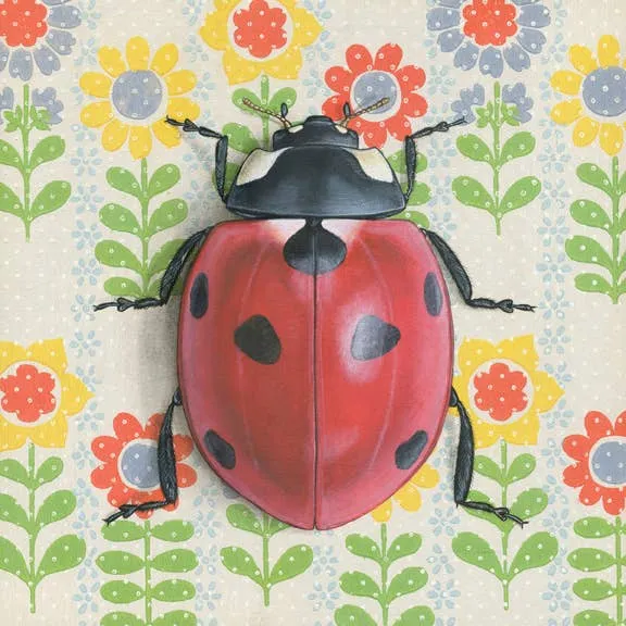 Ladybug Illustration - Fine Art Print