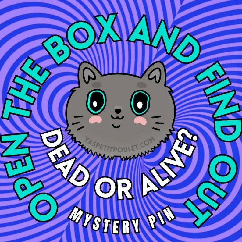 Schrödinger's Cat Mystery Pin Box